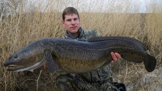 Налим 4500 зимняя рыбалка в Карелии  Fishing for Burbot in Karelia