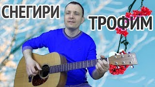 СНЕГИРИ - ТРОФИМ, КАВЕР ПОД ГИТАРУ, разбор, как играть аккорды