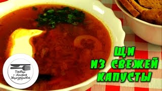 Щи из свежей капусты. Как приготовить самые вкусные щи из свежей капусты. Щи