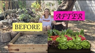 Before and After - How to create or amend a garden bed with the perfect soil
