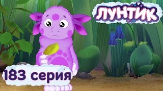 Лунтик и его друзья - 183 серия. Жёлтый лист