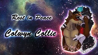 The furry fandom has a drug problem: Rip Colwyn Collie