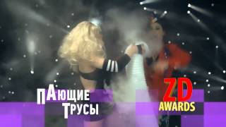 ZD AWARDS 2013. Специальный приз. Группа Пающие трусы.