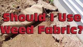 Should I Use Landscape Fabric
