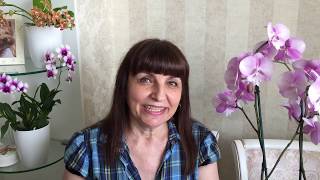 Пришла посылка с орхидеями Стюартианами Пико Чип. Третий способ покупки орхидей)