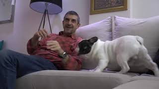 Član porodice ep.1  18.02.2019. - Francuski buldog