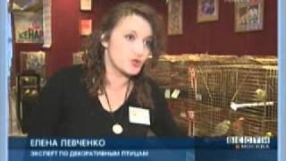 кенаРАЙ-20071.asf