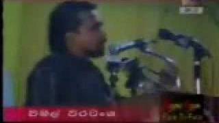 Wimal Weerawansa vs Ranil Wickramasinghe