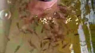 Dr. Fish *torture* in S.Korea :)