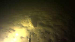 Подводная охота в мутном водохранилище