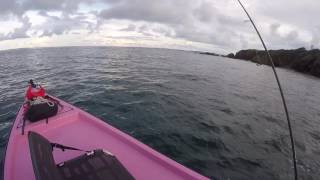 Petrel micro skiff