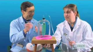Breathing: Interview with Dr. Mark Eberle, Professor of Anatomy and Physiology