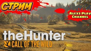 Выполняю доп. задания в игре TheHunter: Call of the Wild #4