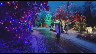 PNC Festival of Lights Snow - Cincinnati Zoo