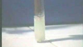 tac dung bac nitrat