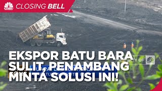 Ekspor Terhalang DMO Batu Bara, Penambang Harapkan Solusi Ini!