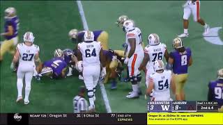 Taylor Rapp (Washington S) vs. Auburn 2018