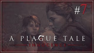 A Plague Tale: Innocence Прохождение ► #7: Тропа идет вперед