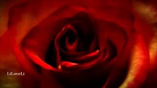 ♥ Armik ~ Rosas Del Amor♥