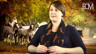Copperfox Model Horses