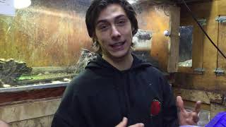 VISITA A CHARLYROCK MONITORLIZARDS!!! COBRA ESCUPIDORA! , VARANOS, CAIMAN! Y MAS!!!