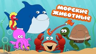 Морские животные Развивающее видео для детей