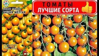 ПОСЕЙТЕ ЭТИ ? ТОМАТЫ ВЕСНОЙ ? И СОБИРАЙТЕ УРОЖАЙ ВСЕ ЛЕТО