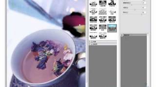 TQC Photoshop CS4-309花茶