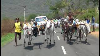 Rekla Race - 2018/03/25 Theni District Cumbum Mettu (Nadumaadu)