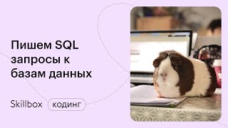 Как стать SQL-программистом и не наделать ошибок. Интенсив по программированию