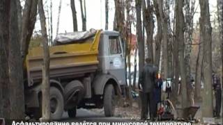 Павлин Второй продолжает в том же духе