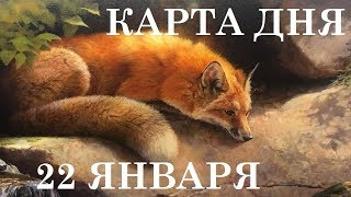 КАРТА ДНЯ 22 ЯНВАРЯ ТАРО ГОРОСКОП ГАДАНИЕ