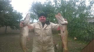 Как правильно забрасывать Кастинговую сеть.How to throw a Casting net.