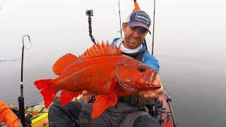 Kayak Fishing: Red Rockfish in the Fog | #FieldTrips West Coast