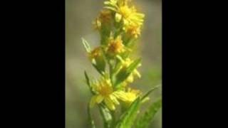 שיר השירים ג',   קדש קדשים - בטעמי המקרא נוסח ספרד ירושלמי,                                                                                      SHIR