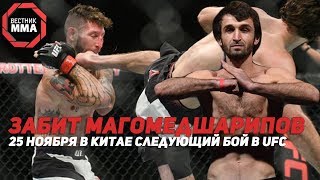 Забит Магомедшарипов - 25 ноября следующий бой в UFC