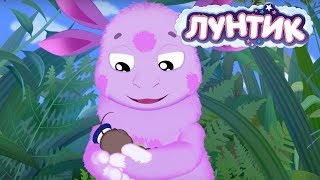 Лунтик | Обнимашки ? Сборник мультфильмов для детей