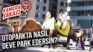 Otoparkta Nasıl Deve Park Edersin? (Gizli Çekim Kamera Şakası)