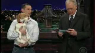 Baily Beagle "Plays Dead" On National TV