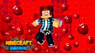 Minecraft Survival #18 - ENCONTREI RUBI NO MINECRAFT !!
