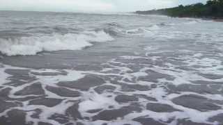 Pesca de Sábalo Real  Limon, Costa Rica