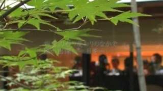 桜坂観山荘の結婚式