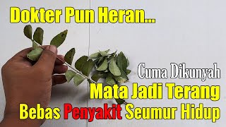 KUNYAH REMPAH-REMPAH INI LALU RASAKAN YANG TERJADI PADA PENGLIHATAN MATAMU