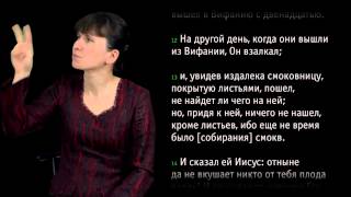 Евангелие от Марка, Глава 11 (жесты)