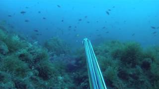 Pesca Submarina en la Costa Murciana: Parte 1
