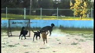 Бурятские прогулки год 2002