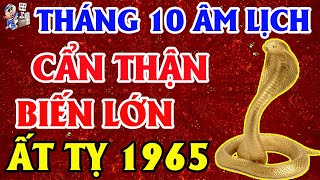 Tu Vi Thang 10 ÂL Tuổi Ất Tỵ 1965 Gặp Dữ Hóa Lành Ôm Hết Tiền Bạc Nếu Cẩn Thận Từ Sớm |TỬ VI TÀI LỘC
