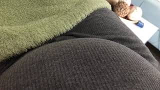my baby kick in my womb| 5 months pregnant
