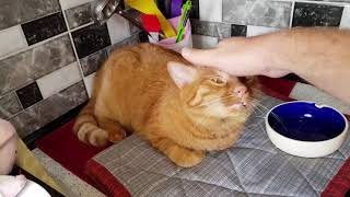 Кондиционер, Который НЕ ЧИСТИЛИ 4 года. УЖАС!!!!