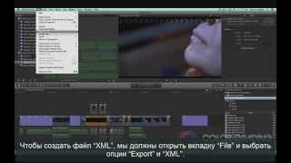 Davinci Resolve 11. XML часть 2
